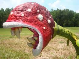 Piranha Plant